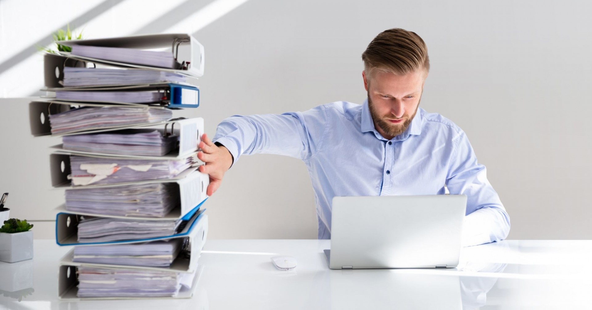 Organisation Organisation